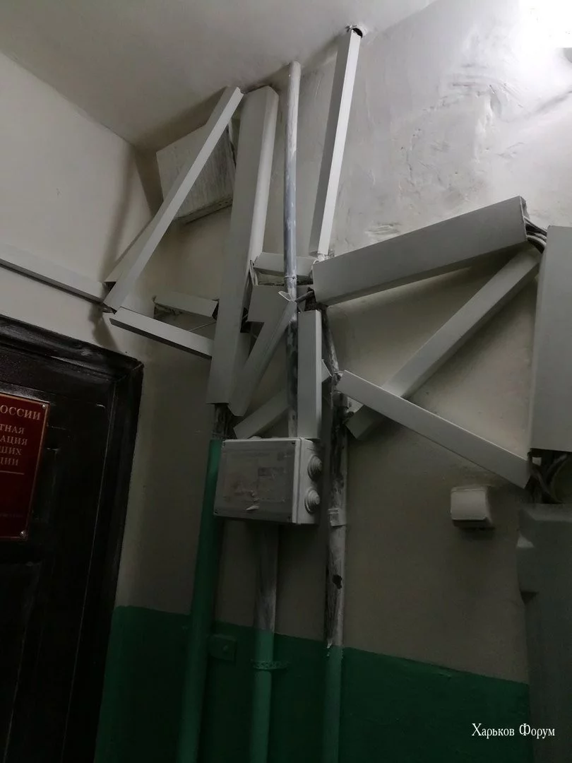 e0343c96f5bf140a2.webp
