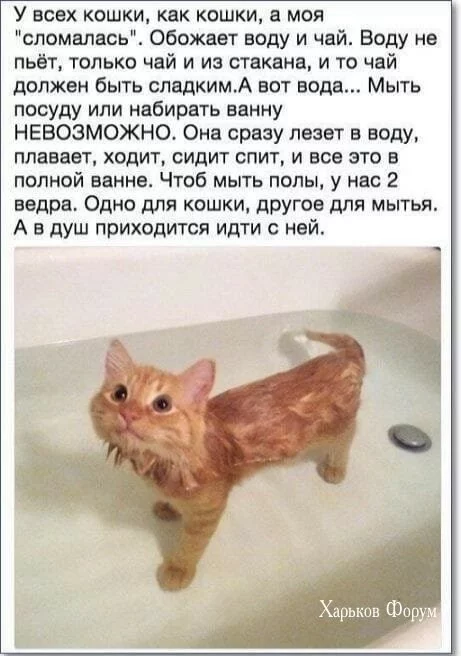 e05f65ab64caad739ea6.webp