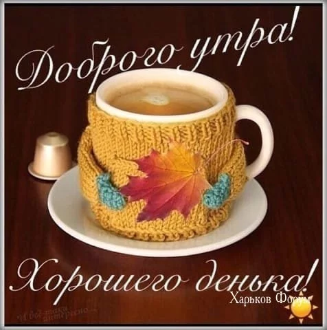 e06d2c3293a379ebf7.webp