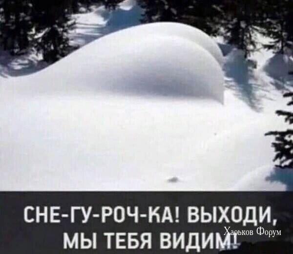 e07bb6b6d15392fd.jpg