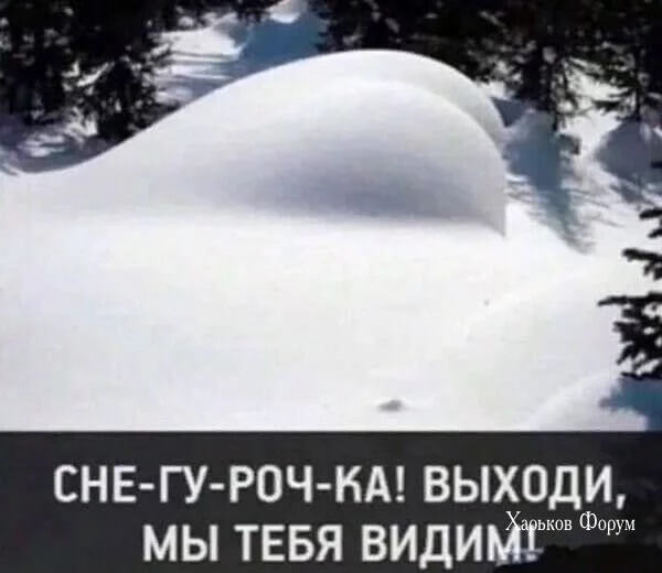 e07bb6b6d15392fd.webp