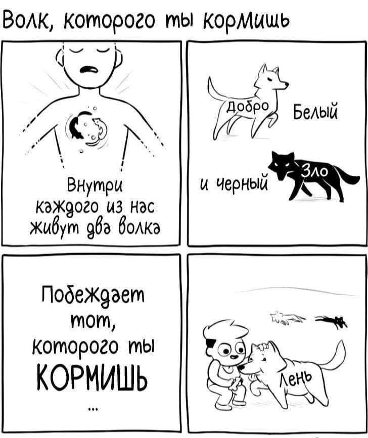e0816ab9106725b72f4c49.jpg