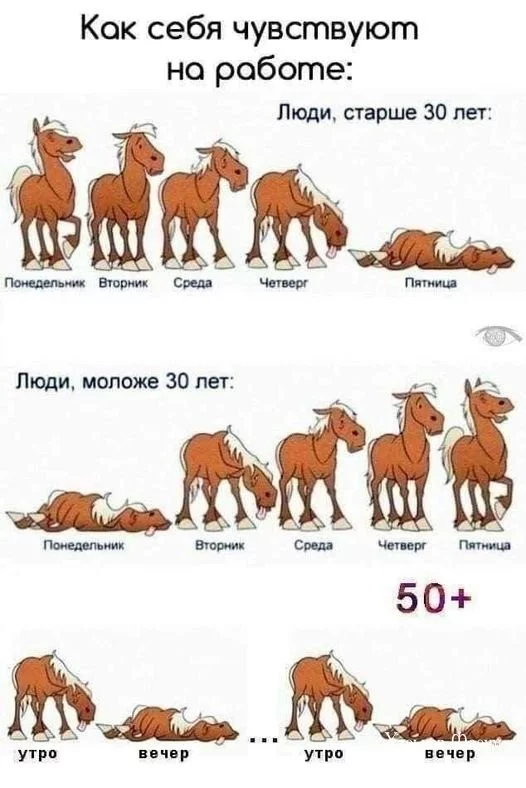 e082d9622656f6efaaf85c40.webp