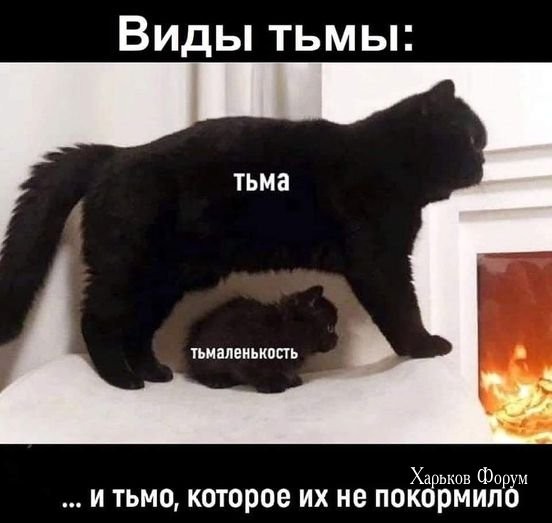 e0a7b0eca16a644a4273636.jpg
