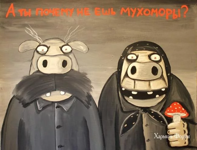 e0aa405a06e3f635.webp