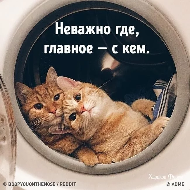 e0b56a4924cfe0d2bcca20.webp