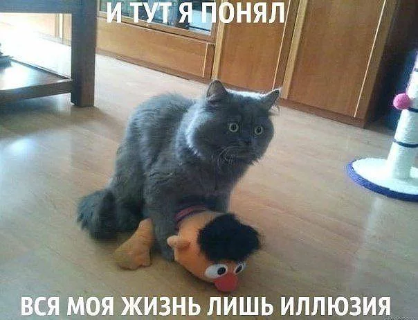 e0bhfa.webp