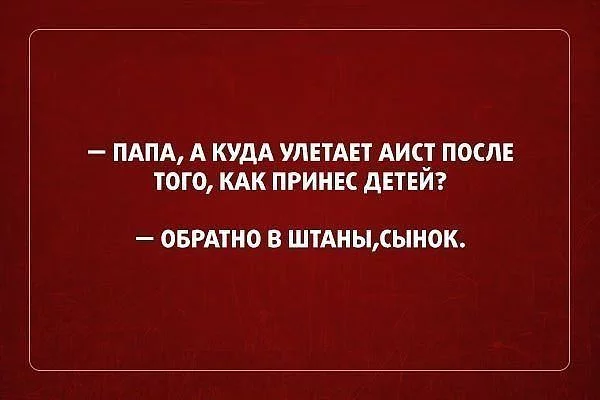 e0cfdf.webp