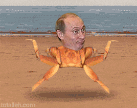 e0dega.gif