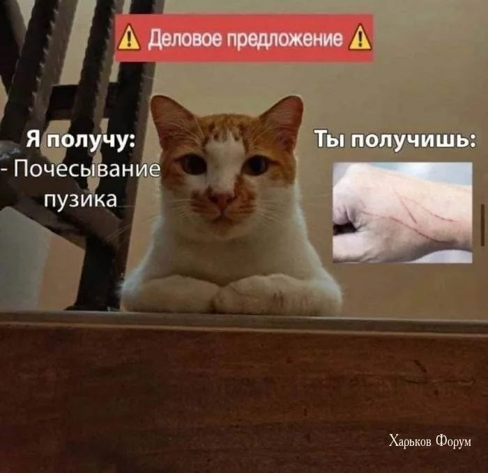 e0f04426ac850e52d4ce5.webp