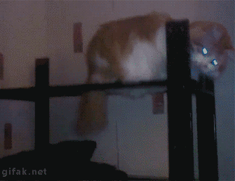 e0f055e1ef84d0fc70.gif