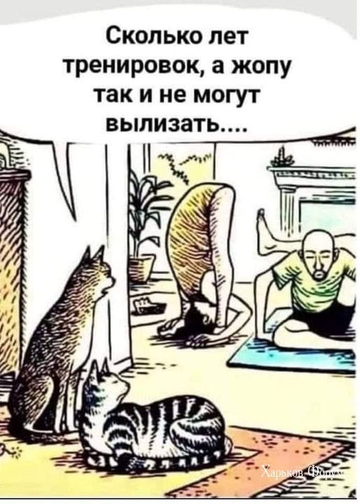 e0f5832097d21fa8bcefba5.jpg