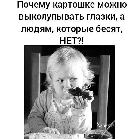 e108fa25ff1d0af81a43.jpg