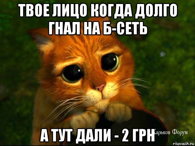 e10a262b622fc0c39b7a76.jpg