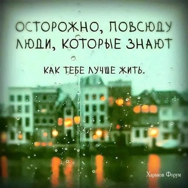 e10d8fba58054a5a4.webp