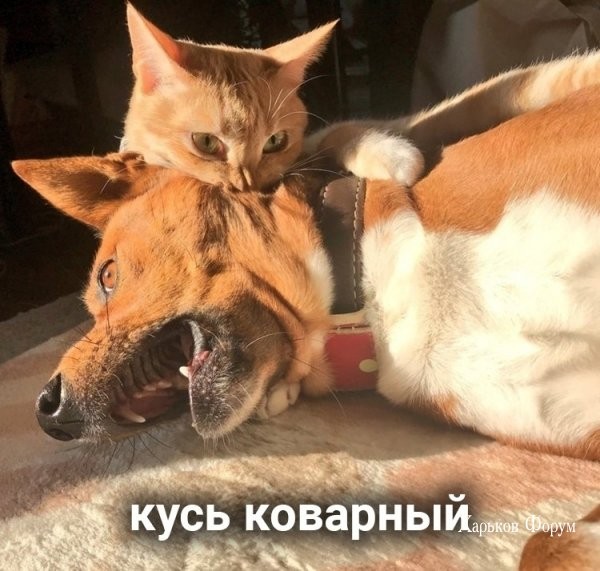 e1288e0a94871a0707c486d9.jpg