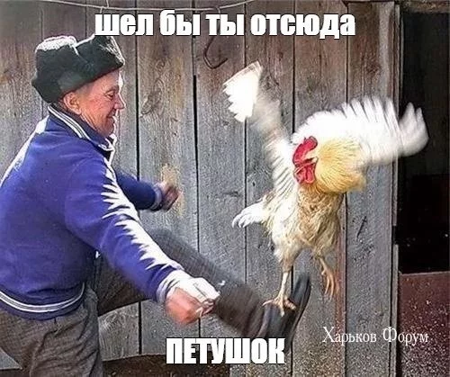 e14b91571163e7a4128.webp