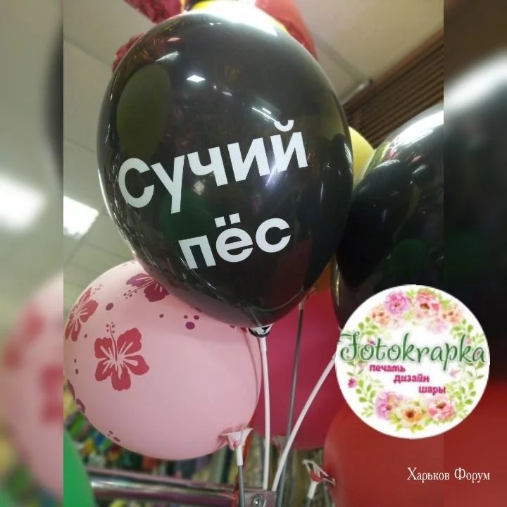 e14d672b916d2ef35f0.webp