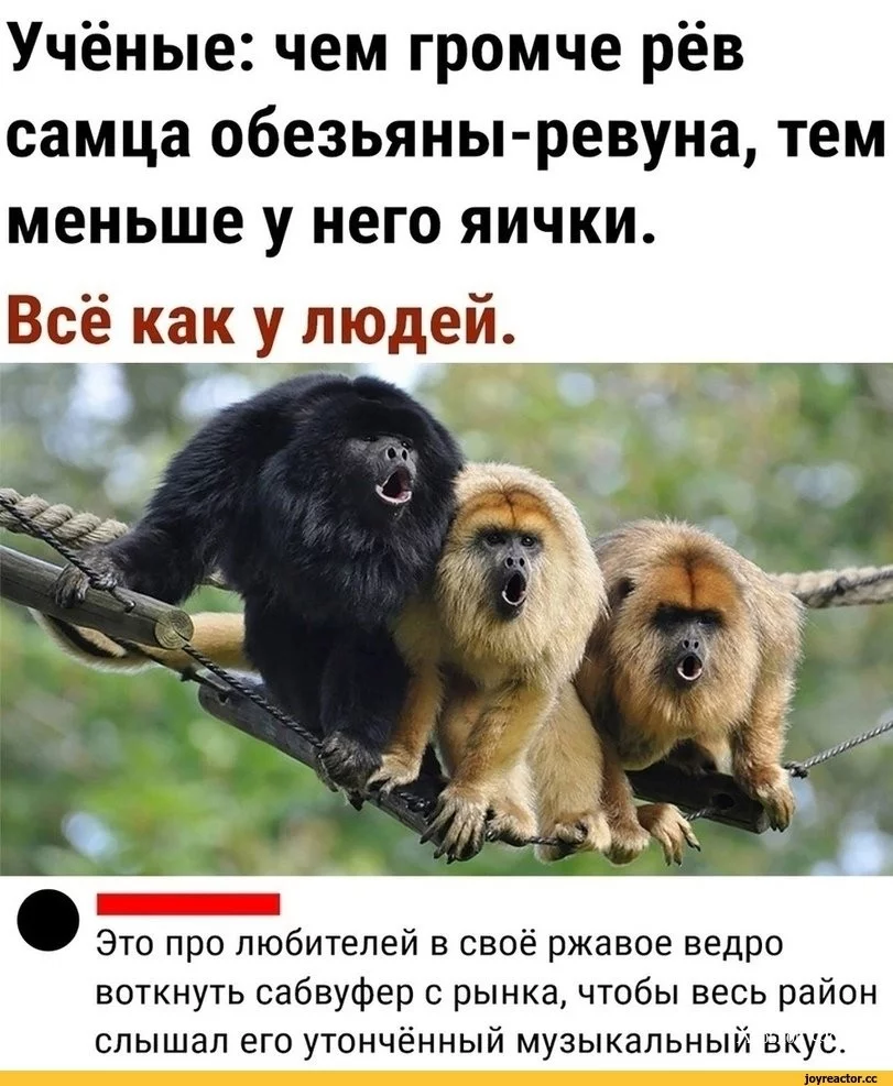 e14efb45c64048918aa.webp