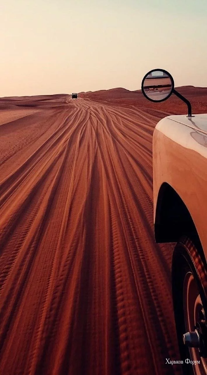 e15176112a6b34b0e8c1.webp