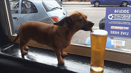 e15262a307676b0e0f5a587.gif
