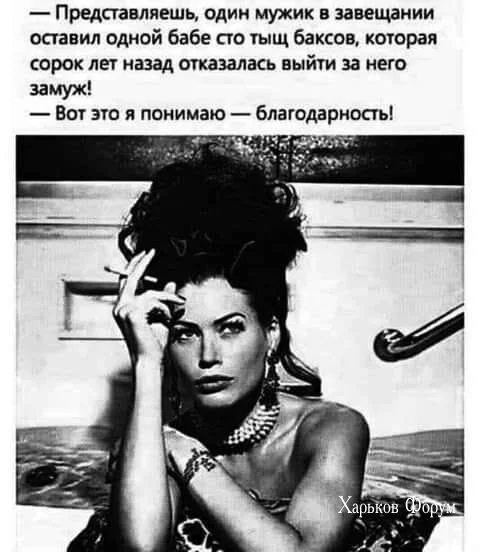 e15e4d1dff792de57380.webp