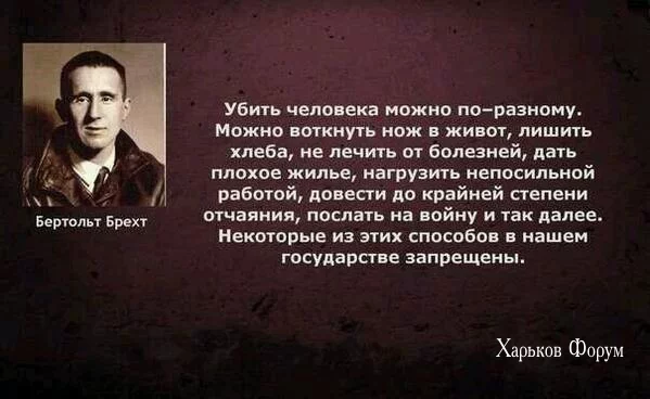 e16458d51b66a2b91fd.webp