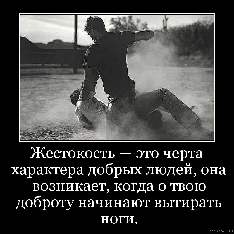 e17146a5d8.webp