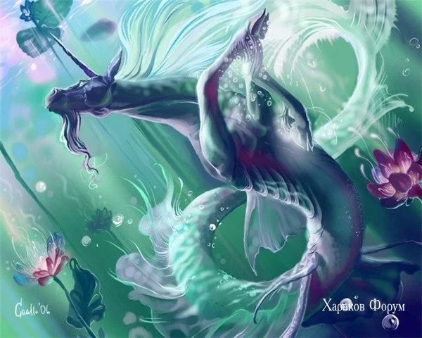 e1844ee91c0d68293.webp
