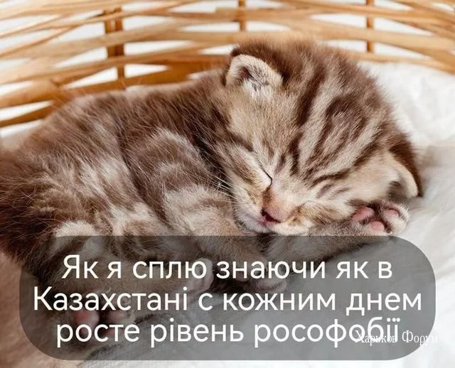 e198e067ea17012816ef729e.webp