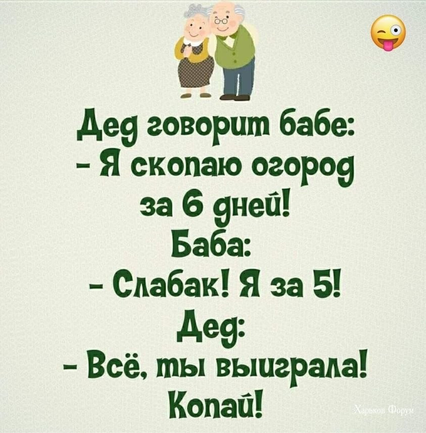e1b2304550cf8b75c0ab33b7.jpg