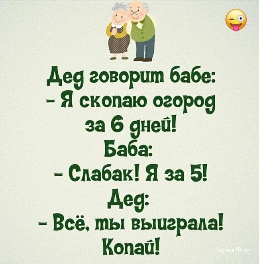 e1b2304550cf8b75c0ab33b7.webp
