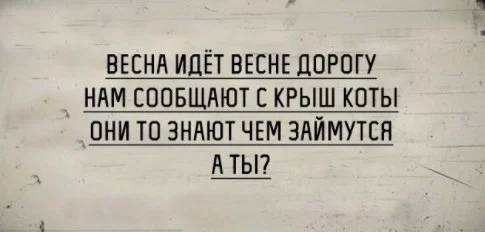 e1cbdb.webp