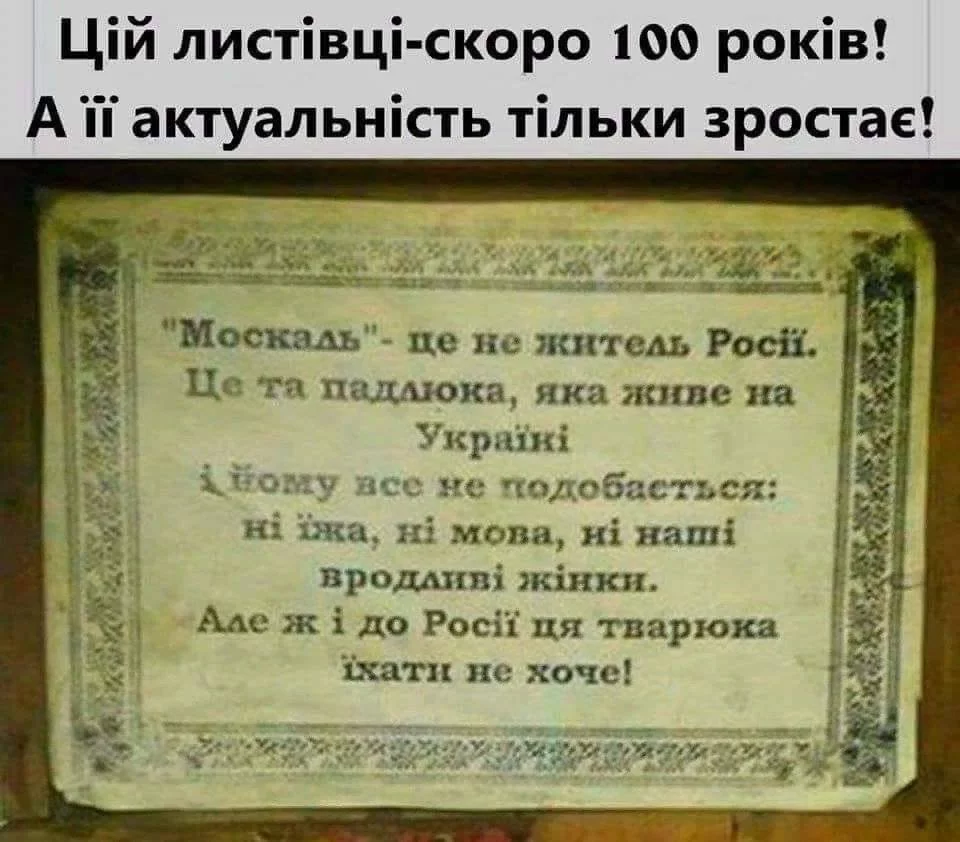 e1cjfe.webp