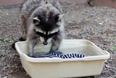 e1d0a5a090a8d9bd7562.gif