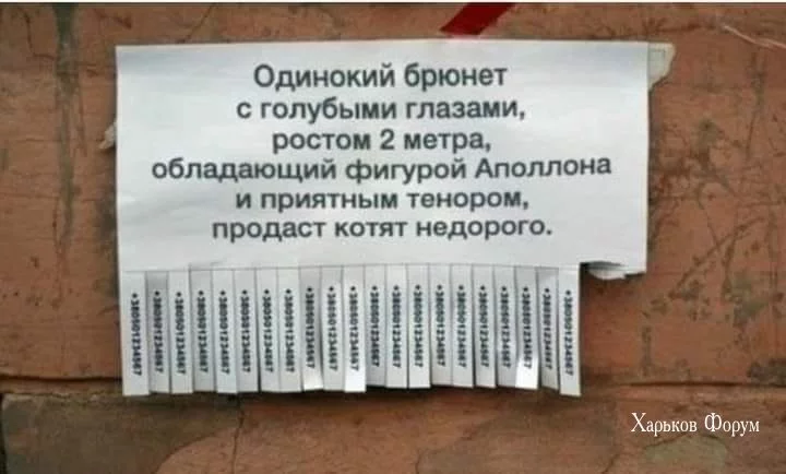 e1d67a0a1161dfbad80d1.webp