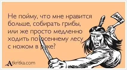 e1db0bff855a80714.webp