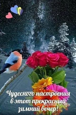 e1e6a7a527595e986b53a5.webp