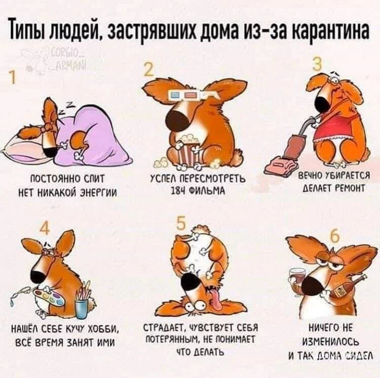 e1f6e55b329cdfd2caeae.webp