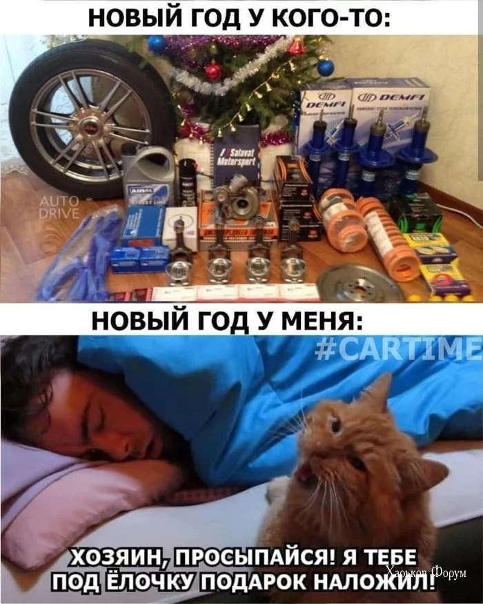 e1fd923d2ac0fb98549a2.webp
