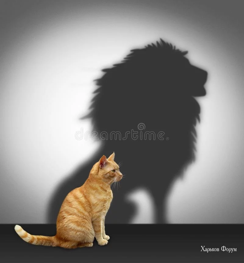 e1fdf31f5c4227a56b62c979.webp