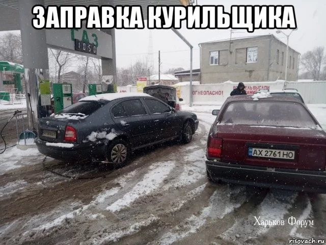 e1fe60497039d8e73.webp