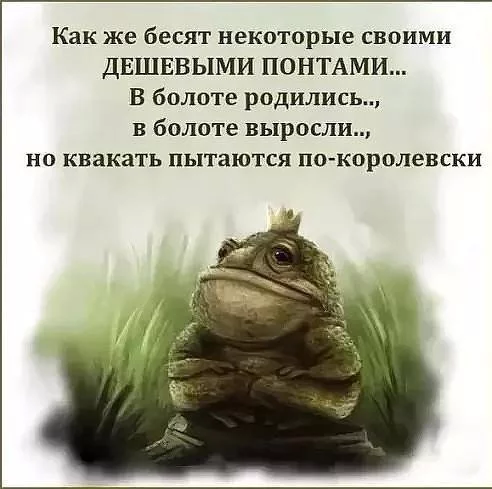 e1fejj.webp
