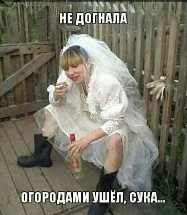 e1gced.webp