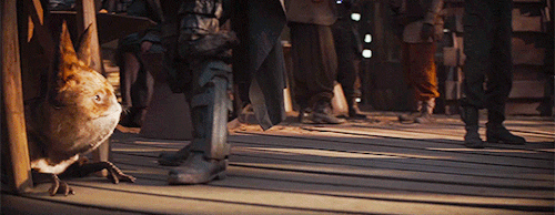e206e9a5d20ea50813cfb69599b3c9308d11359c.gif