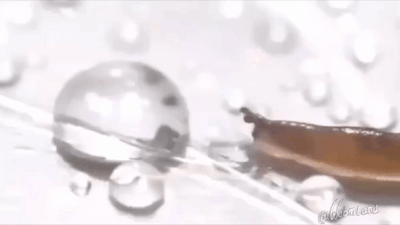 e22497a21d61388ddc77e7b06c2fe7126d9f674f.gif