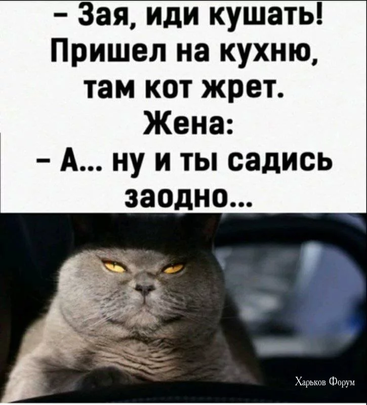 e2359c23e3236be8d860596.webp