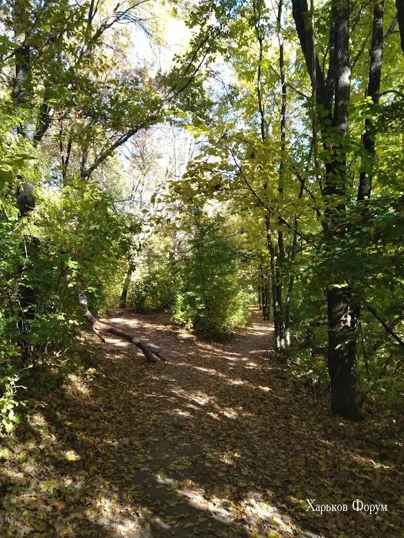 e24da535c5b5c484.webp