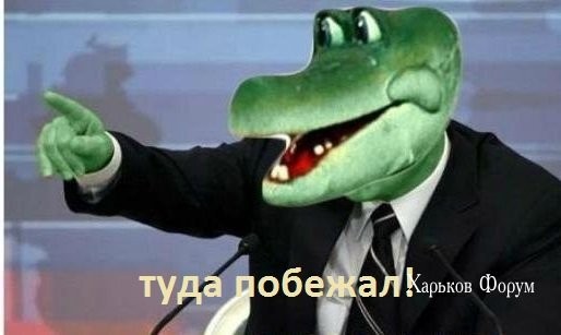 e26b83e7bd0ec619fc03.jpg