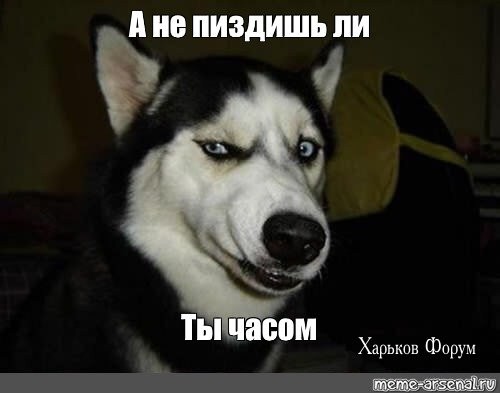 e276a3bd01f06cec.jpg